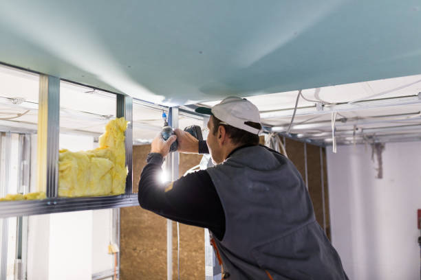 Best Cellulose Insulation in Prairie Creek, AR